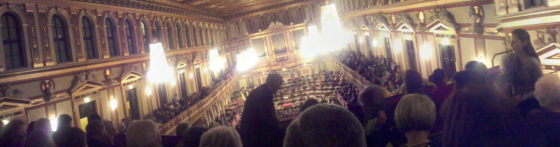 2013_02_Wiener Musikverein, Austria